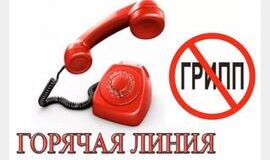 В Томске стартовала горячая линия по профилактике гриппа и ОРВИ