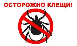 «Горячая линия» по вопросам профилактики клещевого энцефалита