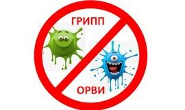 Работает «горячая линия» по вопросам профилактики гриппа и ОРВИ